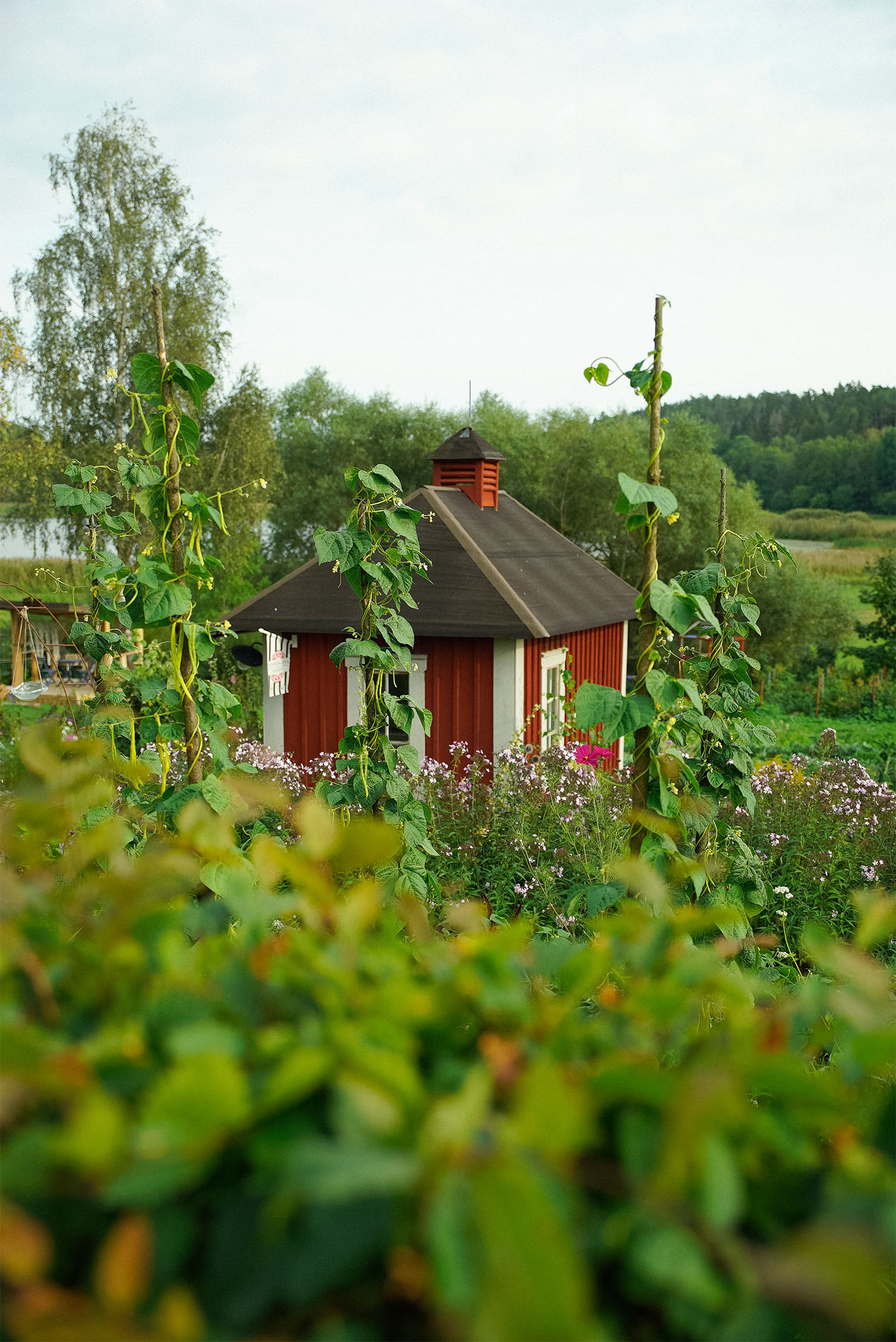 En liten handelsbod i en lummig trädgård