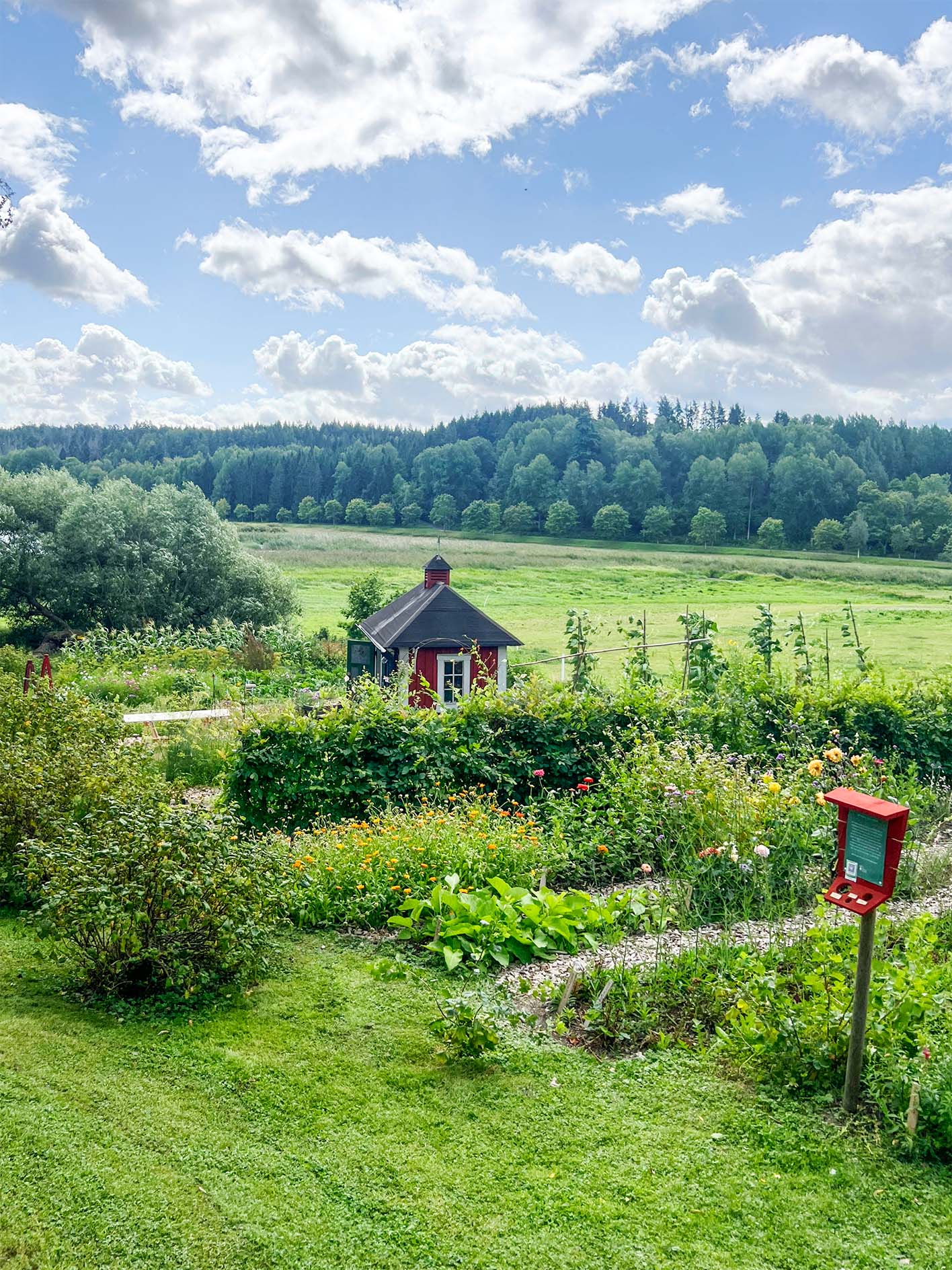 En översiktsbild av den lilla handelsboden i trädgården på en solig sommardag